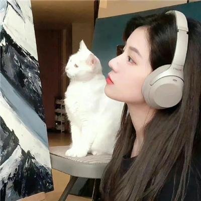 中国诗词大会第四季